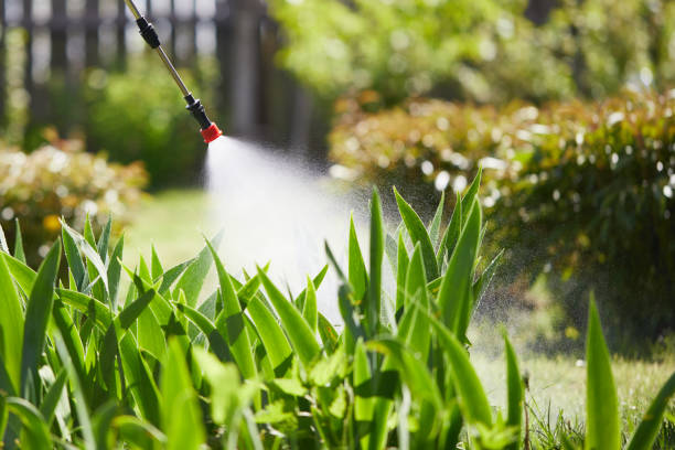 24/7 Emergency Fumigation Services experts in Sylvan Lake, MI