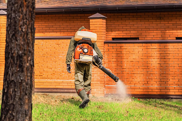 Trusted Cockroach Control service in Sylvan Lake, MI - Nex Pest Control